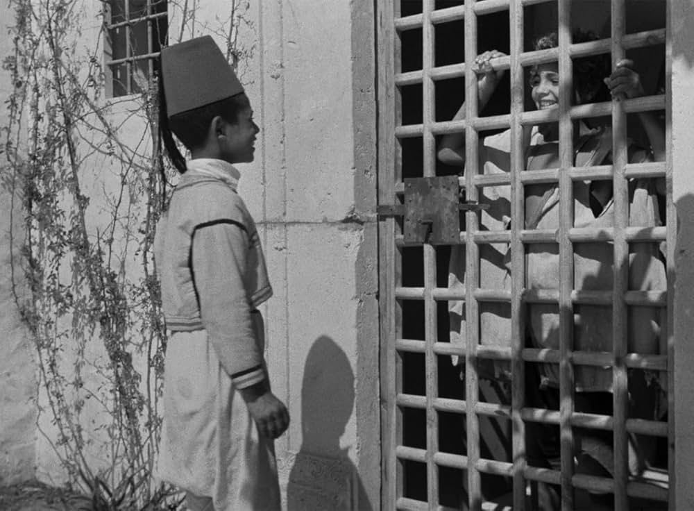 Bim（原題）の画像