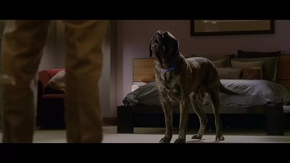 ある日モテ期がやってきたの画像