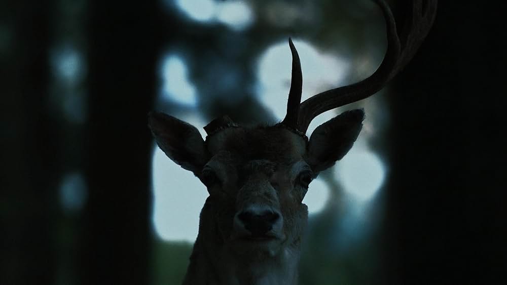 Significant Other（原題）の画像