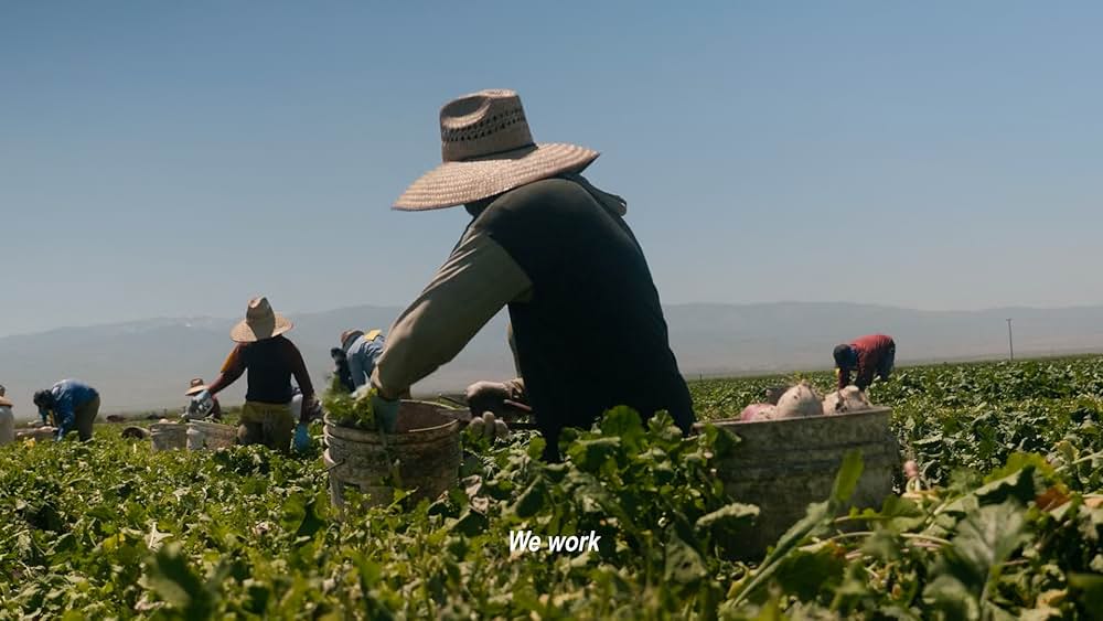 国境なき厨房 トップシェフの救済活動の画像