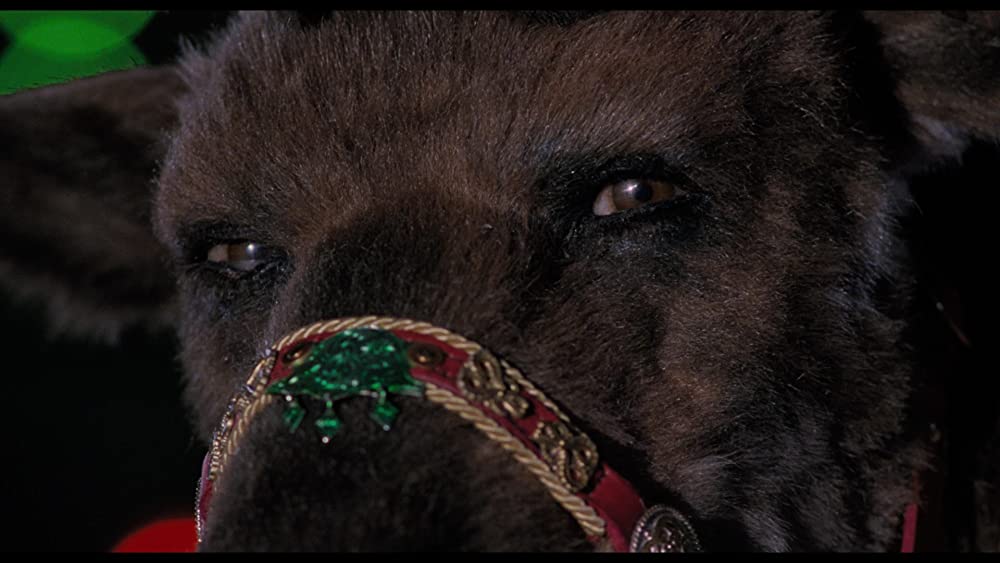 サンタクローズの画像