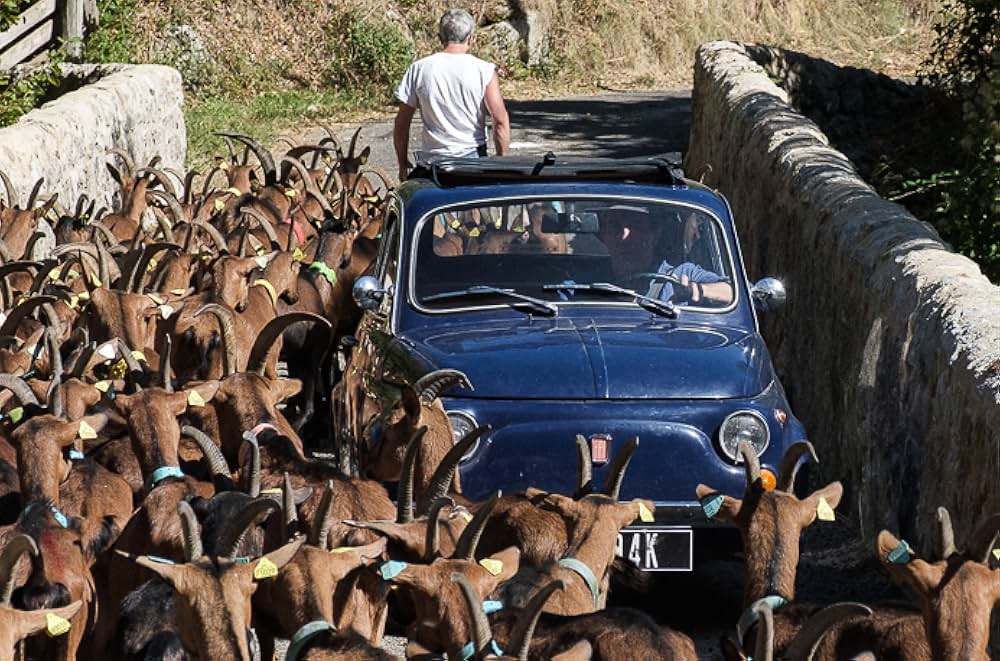 The Man in the Hat（原題）の画像