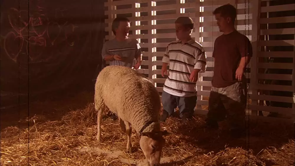 アメリカン・パイ in ハレンチ課外授業の画像