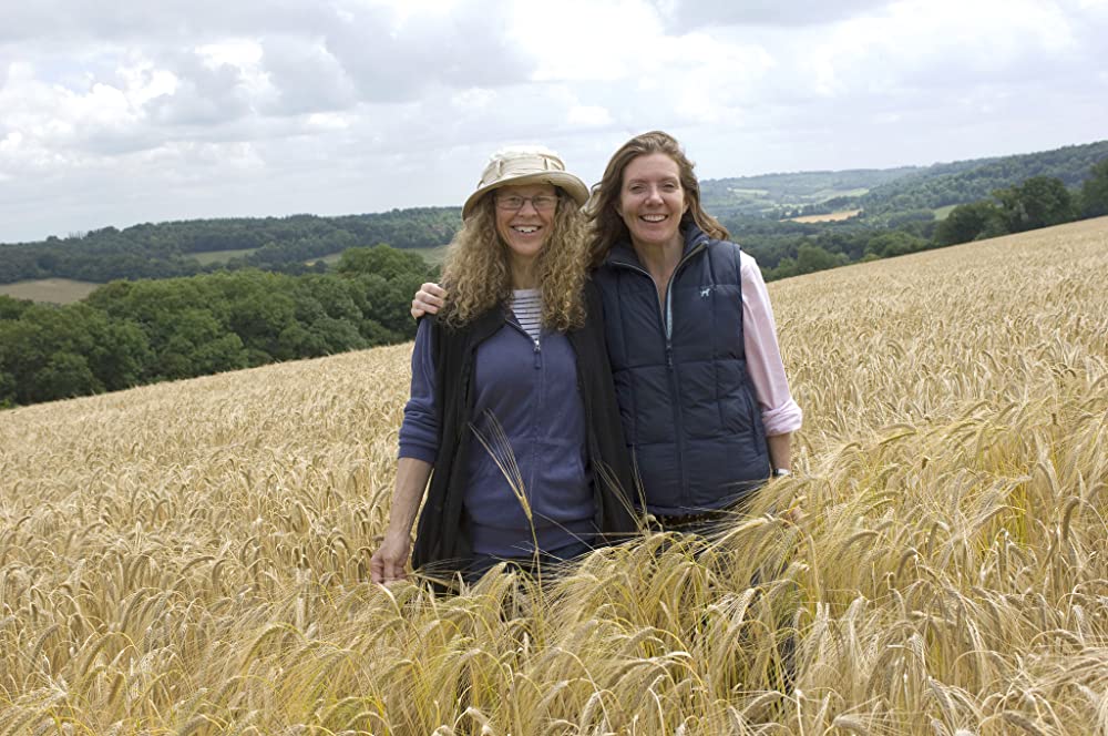 ナニー・マクフィーと空飛ぶ子ブタの画像