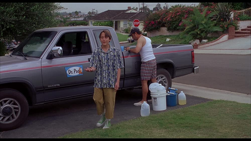 シーズ・オール・ザットの画像