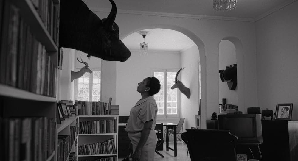 Taxibol（原題）の画像