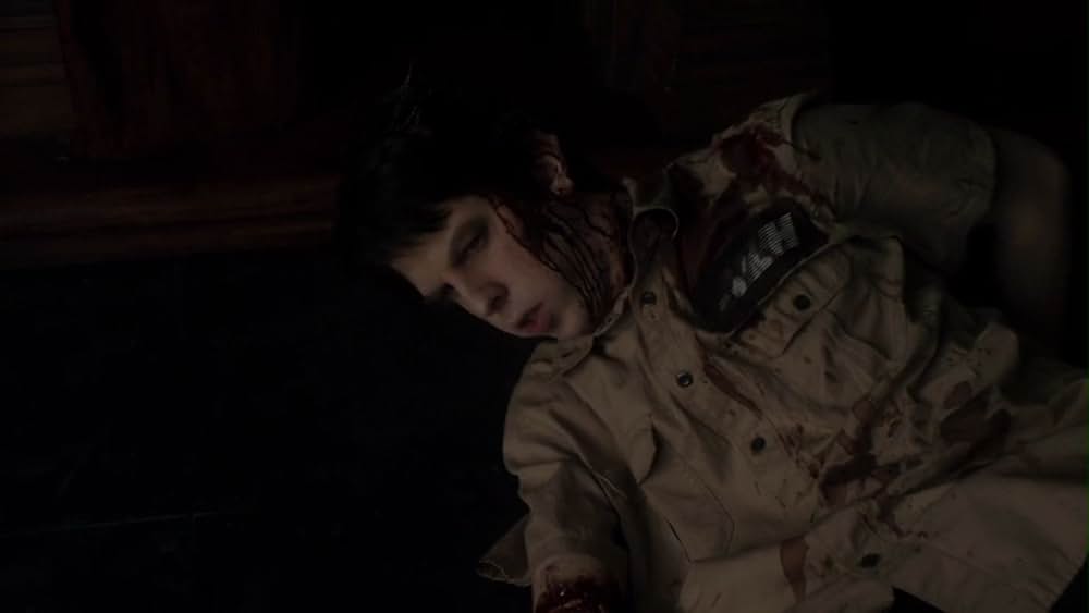 フライトナイト／恐怖の夜の画像