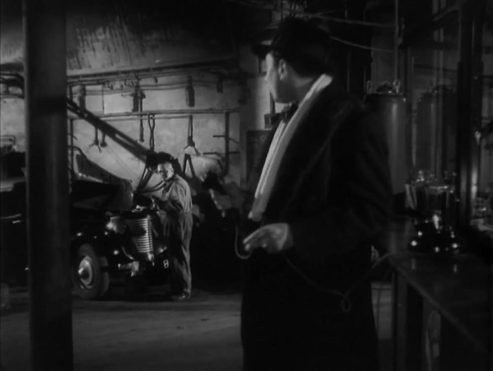 ペトルスの写真の画像