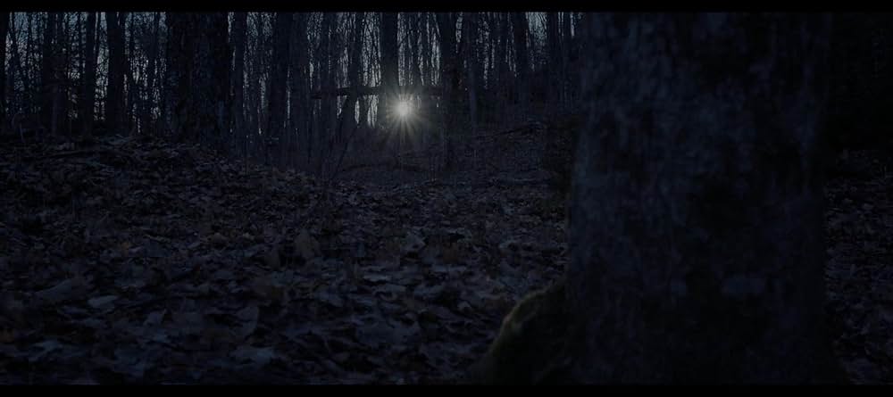 ブラック・ウィッチの画像