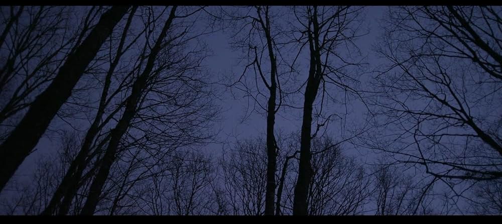 ブラック・ウィッチの画像