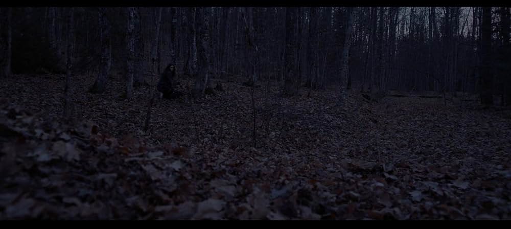 ブラック・ウィッチの画像