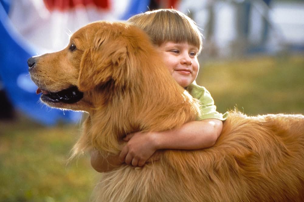 スーパードッグ エア・バディ／ビーチバレーで危機一髪！の画像