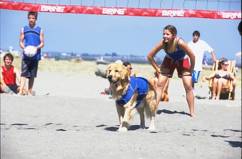 スーパードッグ エア・バディ／ビーチバレーで危機一髪！の画像