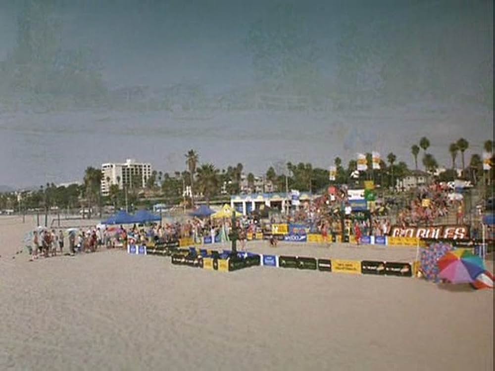 スーパードッグ エア・バディ／ビーチバレーで危機一髪！の画像