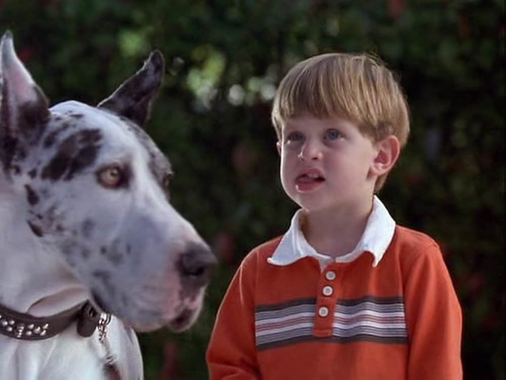 スーパードッグ エア・バディ／ビーチバレーで危機一髪！の画像