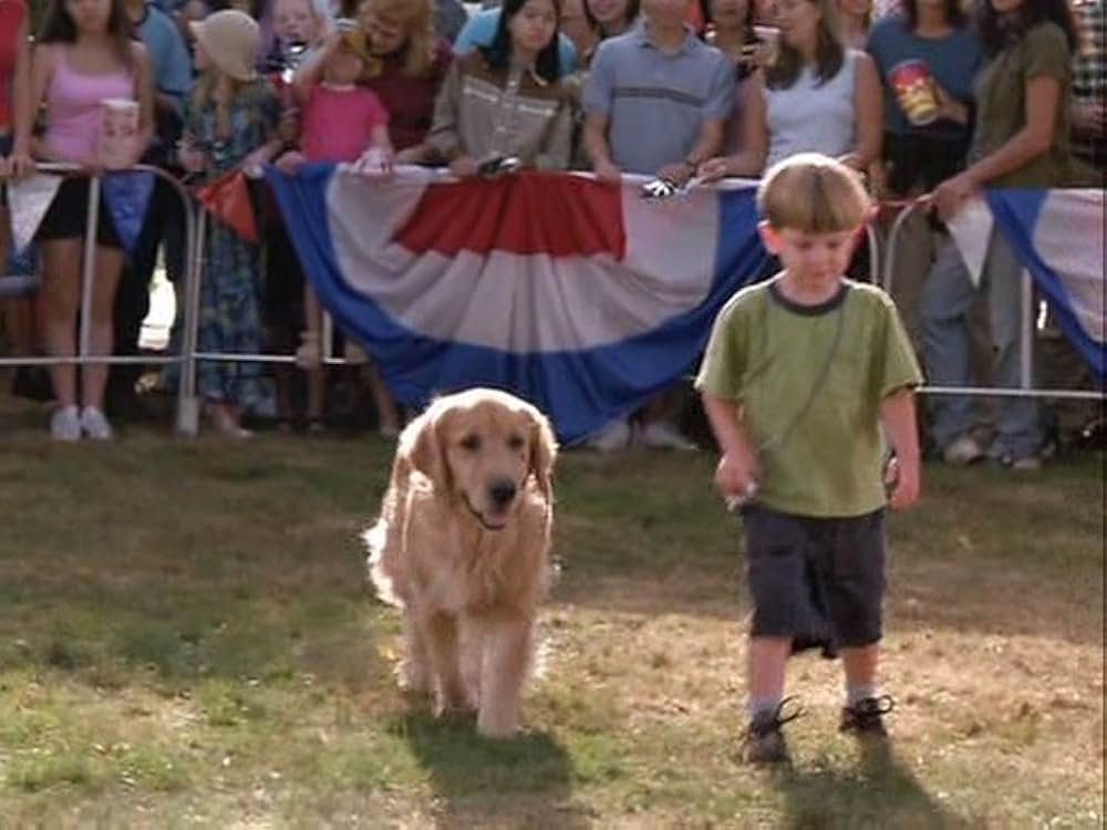 スーパードッグ エア・バディ／ビーチバレーで危機一髪！の画像