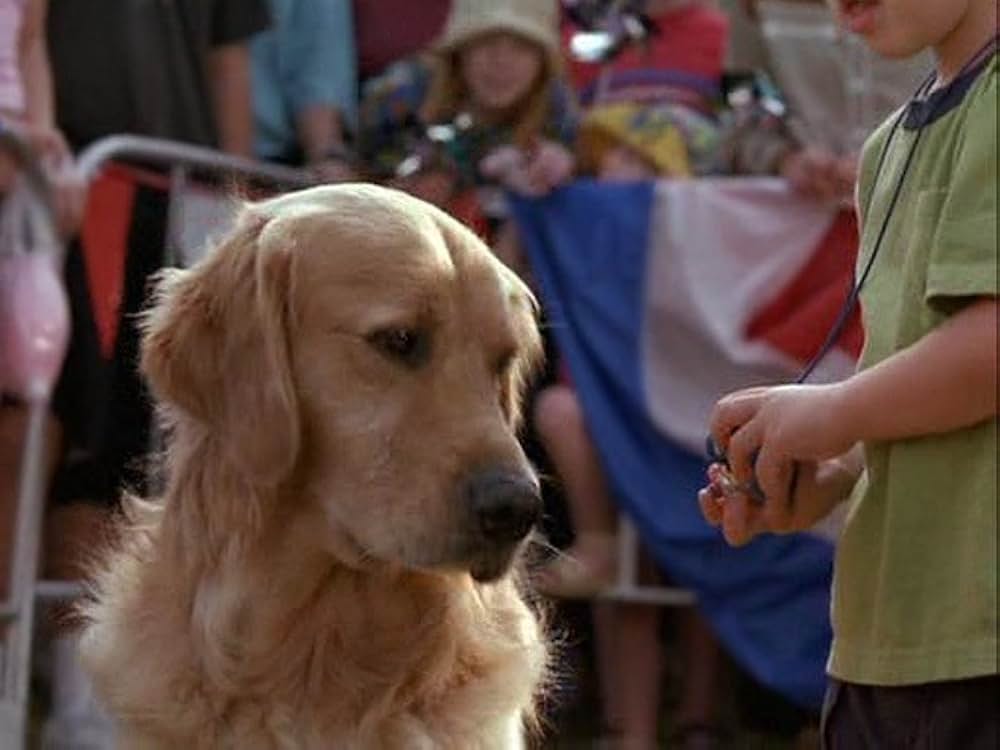 スーパードッグ エア・バディ／ビーチバレーで危機一髪！の画像