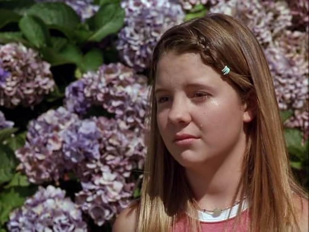 スーパードッグ エア・バディ／ビーチバレーで危機一髪！の画像