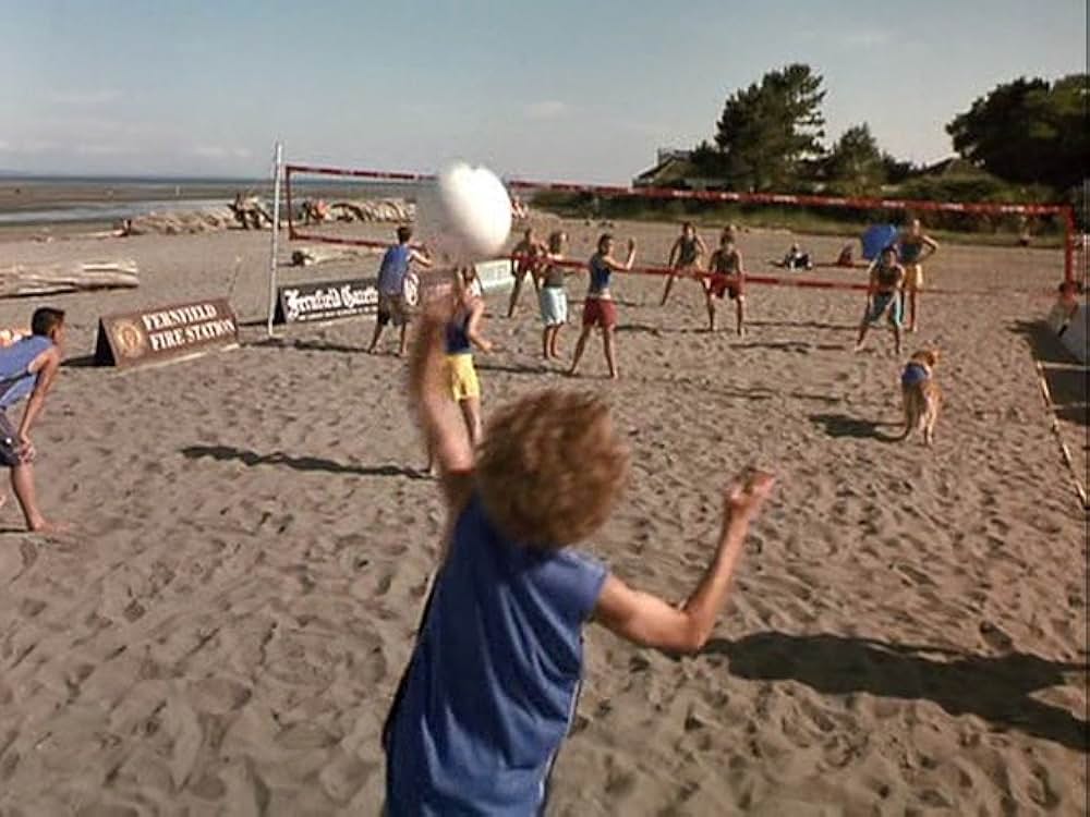 スーパードッグ エア・バディ／ビーチバレーで危機一髪！の画像