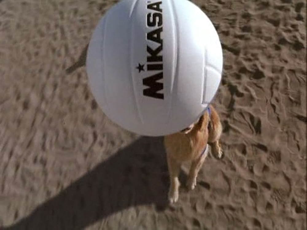 スーパードッグ エア・バディ／ビーチバレーで危機一髪！の画像