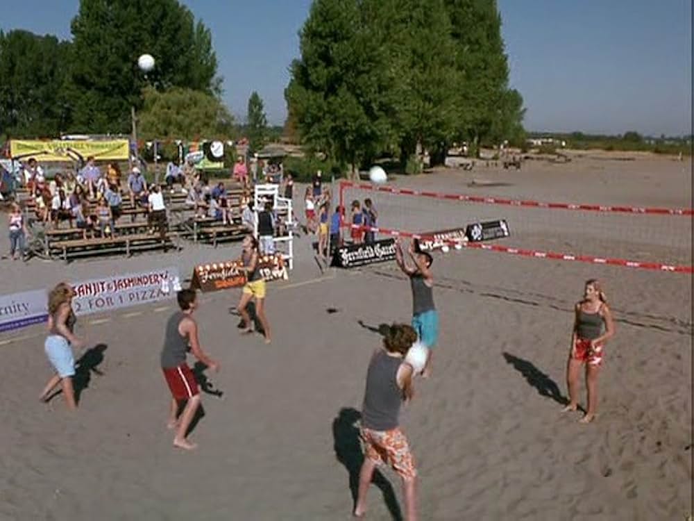 スーパードッグ エア・バディ／ビーチバレーで危機一髪！の画像