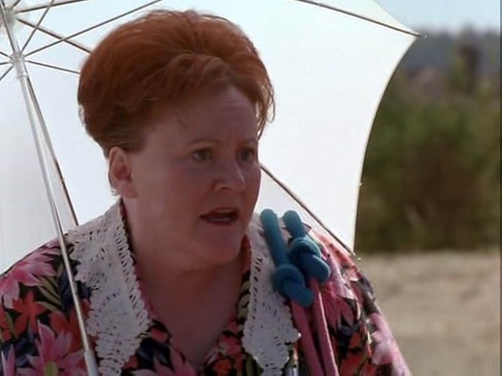 スーパードッグ エア・バディ／ビーチバレーで危機一髪！の画像