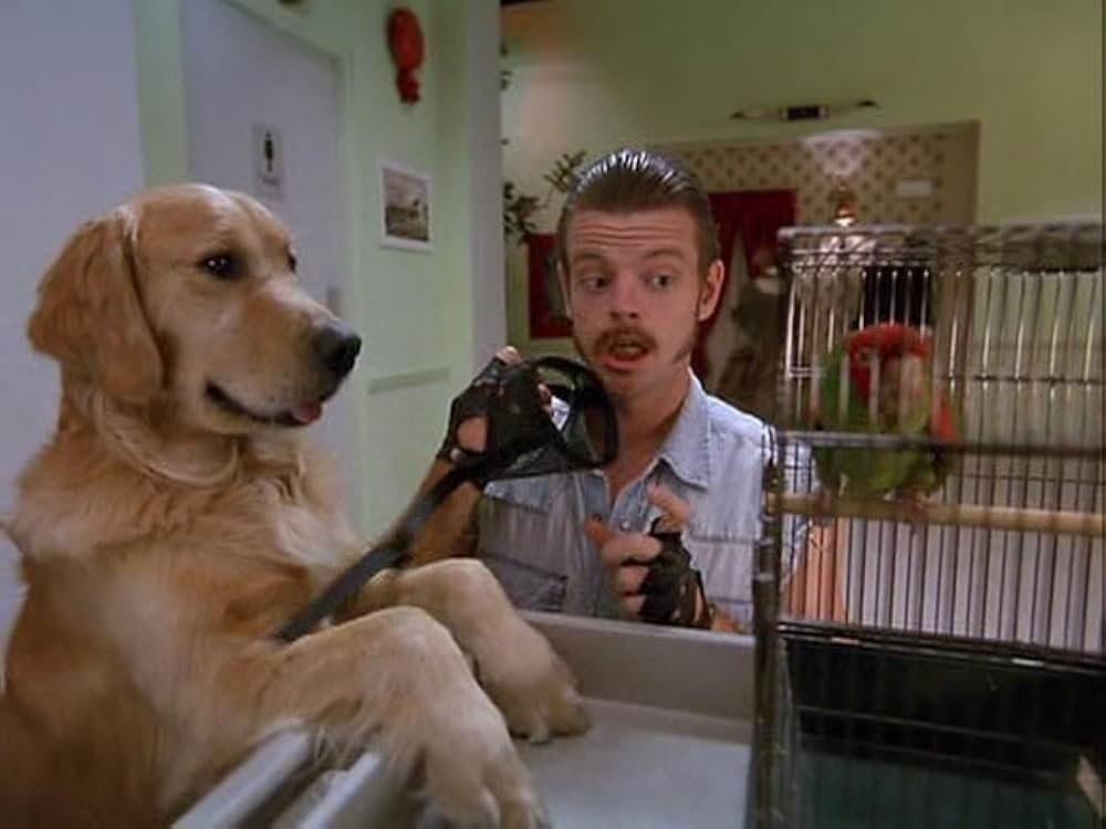 スーパードッグ エア・バディ／ビーチバレーで危機一髪！の画像