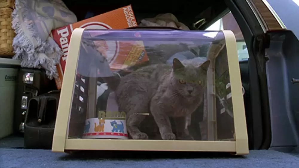 ペット・セメタリーの画像