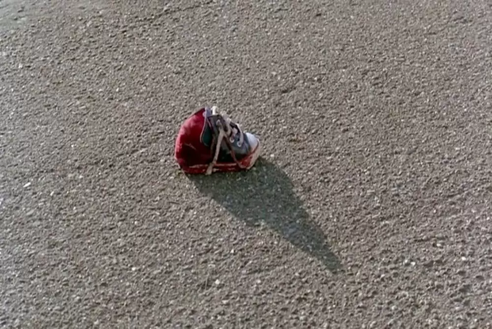 ペット・セメタリーの画像