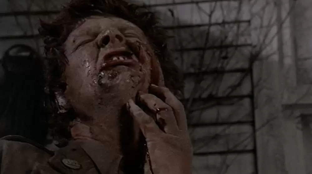 ペット・セメタリーの画像