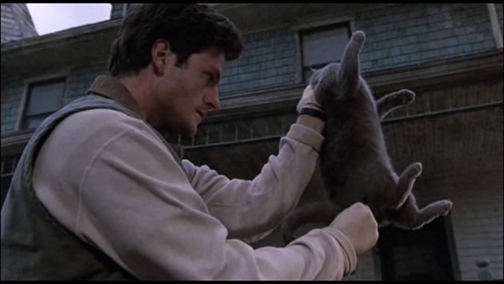 ペット・セメタリーの画像