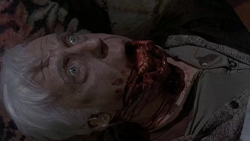 ペット・セメタリーの画像