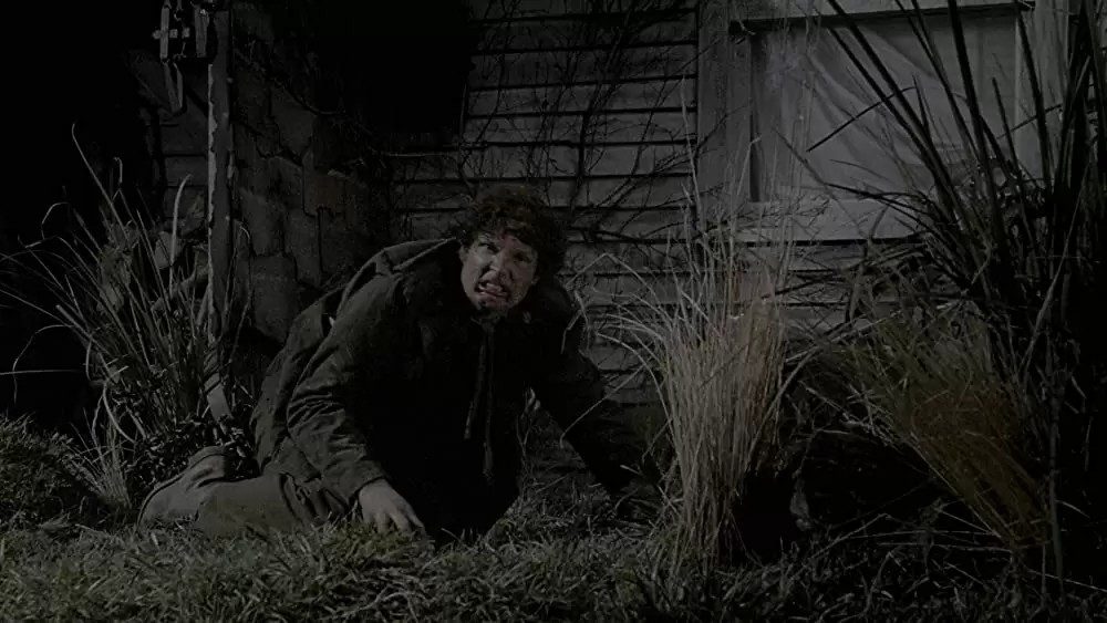 ペット・セメタリーの画像