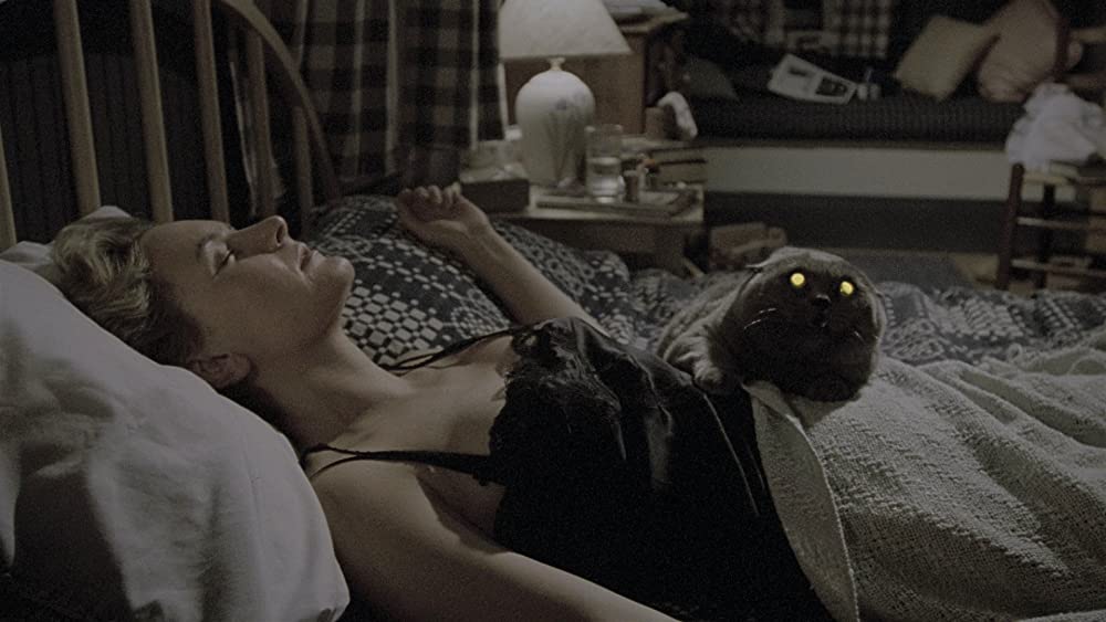 ペット・セメタリーの画像