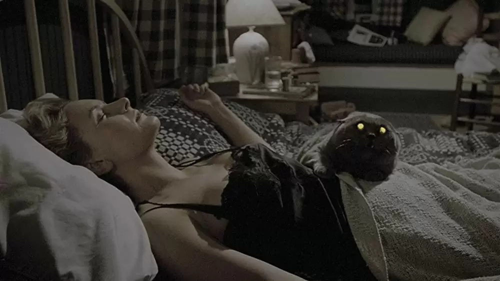 ペット・セメタリーの画像