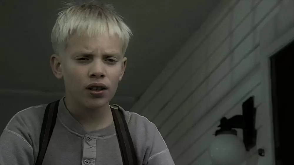 ペット・セメタリーの画像