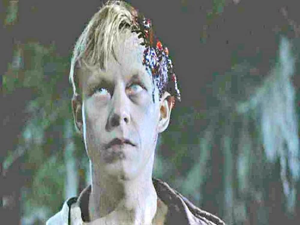 ペット・セメタリーの画像