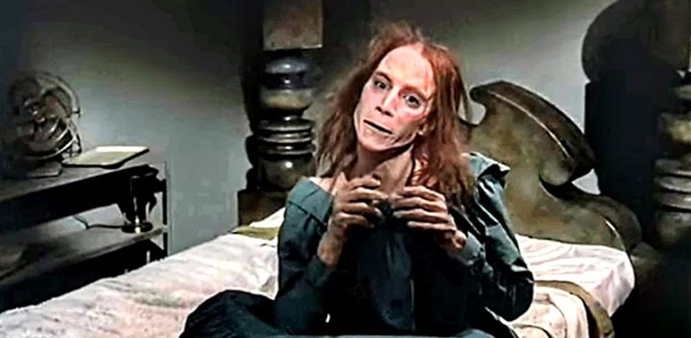 ペット・セメタリーの画像