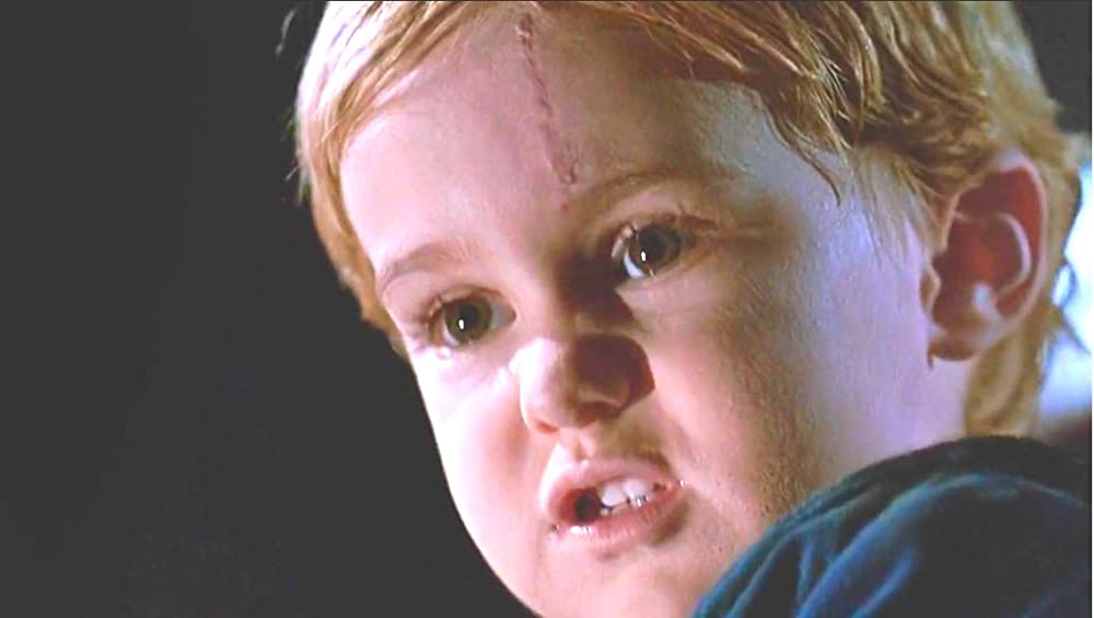 ペット・セメタリーの画像