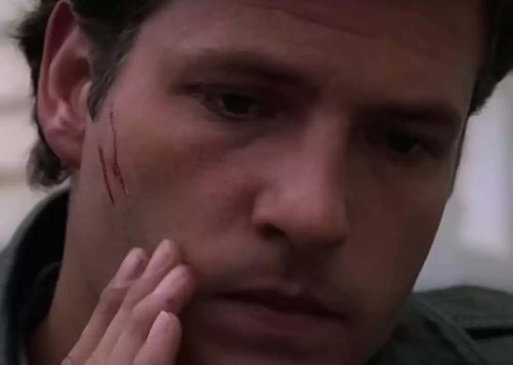 ペット・セメタリーの画像