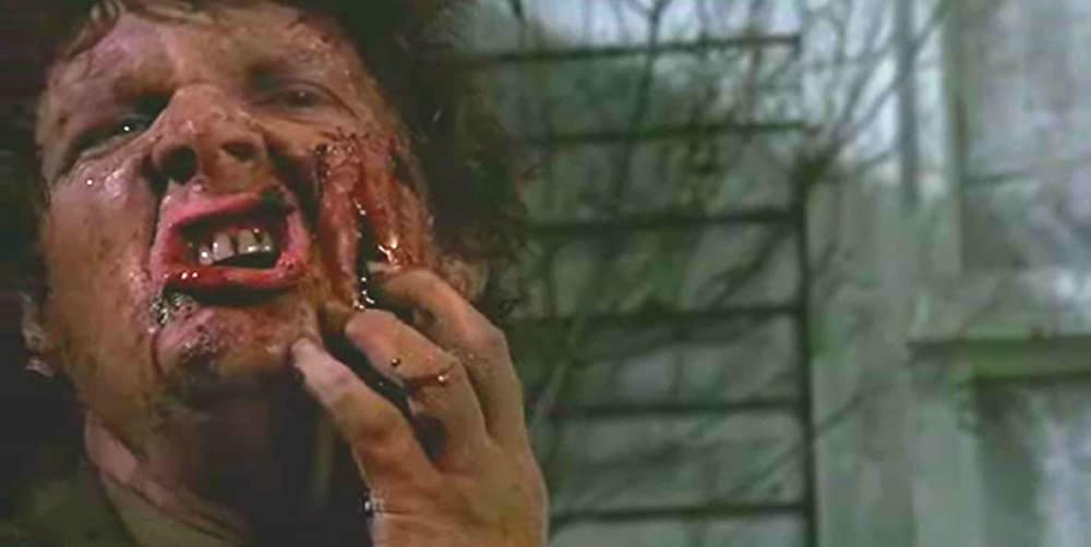 ペット・セメタリーの画像