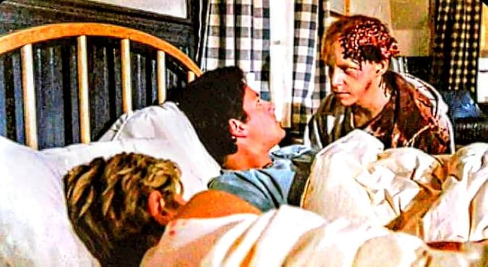 ペット・セメタリーの画像