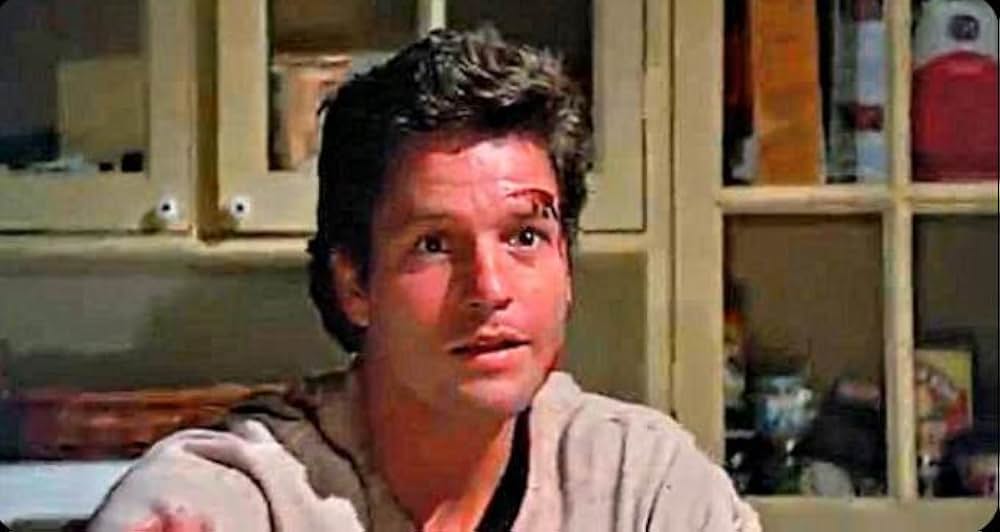 ペット・セメタリーの画像