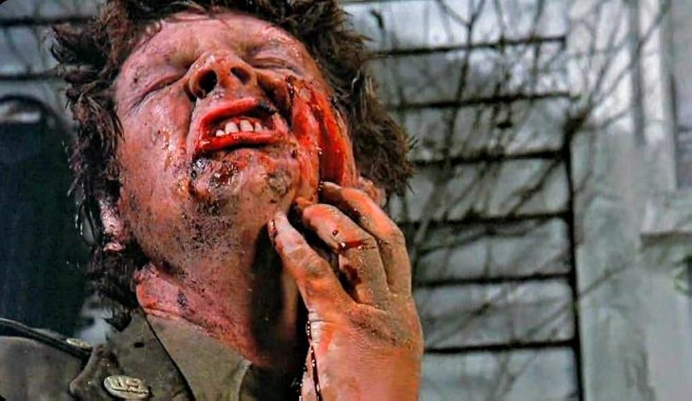 ペット・セメタリーの画像