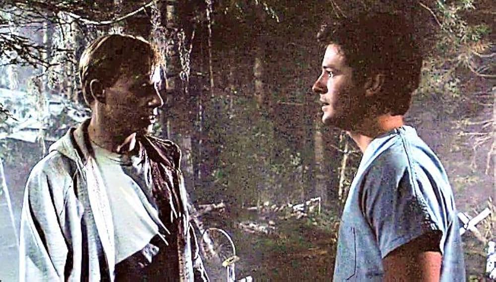 ペット・セメタリーの画像