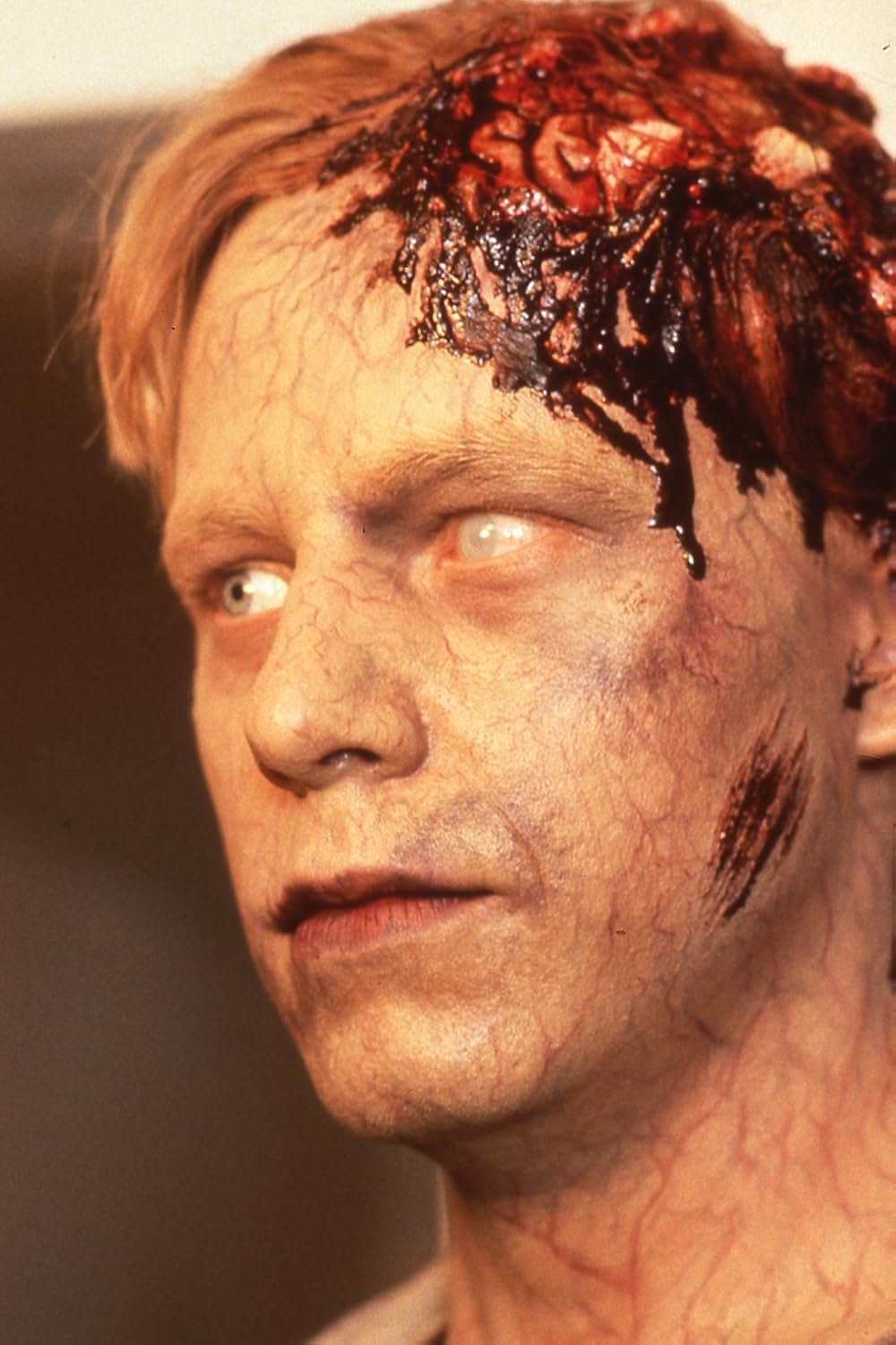 ペット・セメタリーの画像