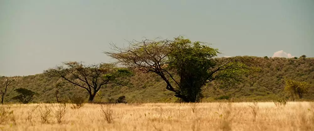 トリプルX：再起動の画像