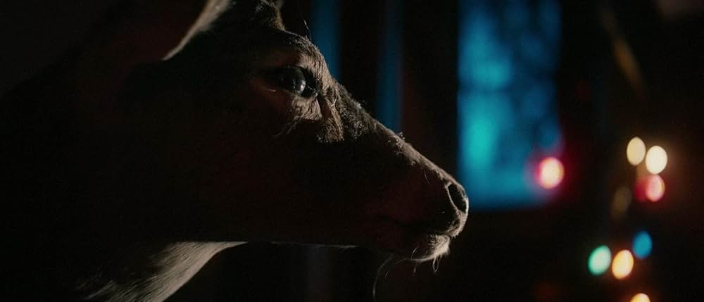 I Trapped the Devil（原題）の画像