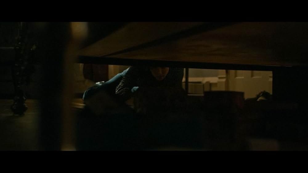 I Trapped the Devil（原題）の画像