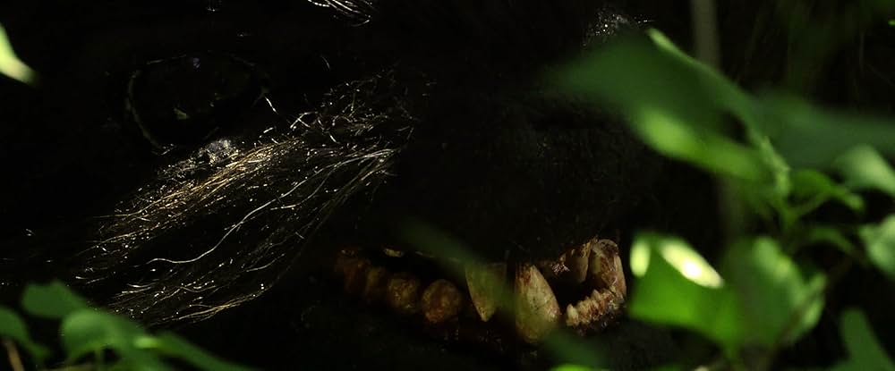 「ファング 怒りのモンスター」の画像